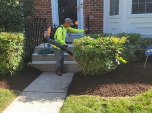 Bush Trimming by Miguel Santos for Linda M. in Silver Spring, MD