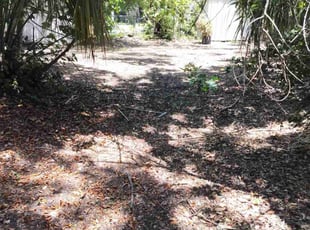 Bush Trimming by Stephen Peffly for Edwin P. in Seminole, FL