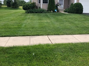 Bush Trimming by Dave Ehrenberg for Dan D. in Lewis Center, OH
