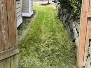 Lisa W.'s Lawn Service service result