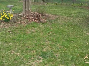 Leaf Removal by Wynona Wiltfong for Kevin T. in South Bend, IN