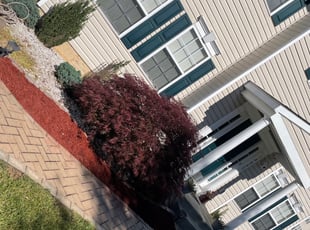 Landscaping by Darryl Blanchard for Chauncey B. in Bowie, MD