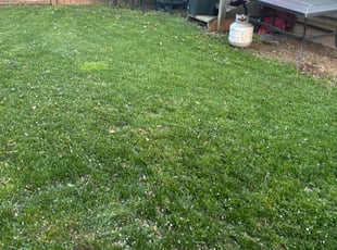 Cleanups by David Alexander for Chris M. in Poolesville, MD