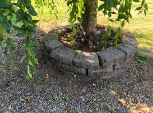 Cleanups by Prentice W for Ken w. in Kent, WA