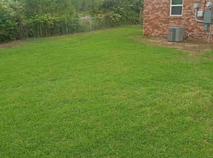 Princess G.'s Lawn Service service result
