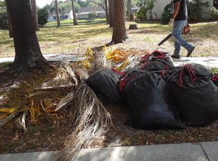 Leaf Removal by Rodney LeDuc for Mohammed A. in Tampa, FL