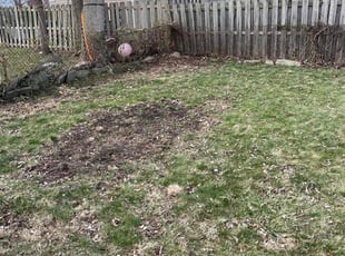 Leaf Removal by Scott Basinger for Darell W. in Parma, OH