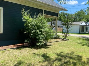 Desiree B.'s Cleanups service result