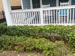 Bush Trimming by Bruce Peterson for Jason C. in Jacksonville, FL