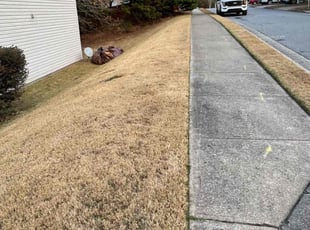 Leaf Removal by Teri Monsour for Kay C. in Canton, GA