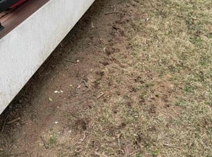Aeration by Jairon Villagran for Morgan C. in Silver Spring, MD