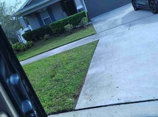 Weeding by Robert Nelams for Cyrus I. in Okahumpka, FL