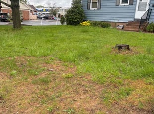 Leaf Removal by David Coppola for Val R. in North Haven, CT