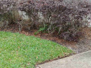 Mulching by Jason Fisher for Michael H. in Jacksonville, FL