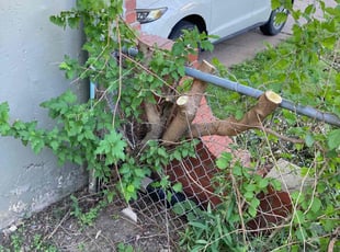 Bush Trimming by Tim Kirkpatrick for Mike R. in Kansas City, MO