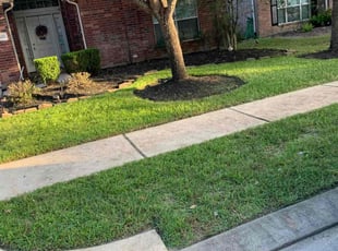 Weeding by Jonathon Holland for Latoya J. in Spring, TX