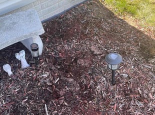 Weeding by Kenneth Walker for Noni B. in Streetsboro, OH