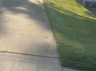 Sarah R.'s Grass Cutting service result