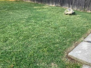 Cleanups by Gabriel Aldrete Contreras for Sarah D. in Sacramento, CA