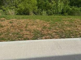Aeration by Damian Fields for Kyle C. in Middletown, OH