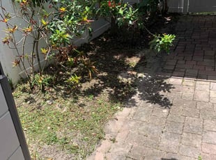Weeding by Dewante Deas for Jade G. in Deerfield Beach, FL