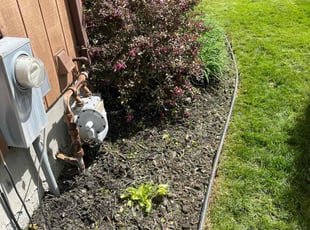 Weeding by Neal Ferris for Lisa C. in Buffalo, NY