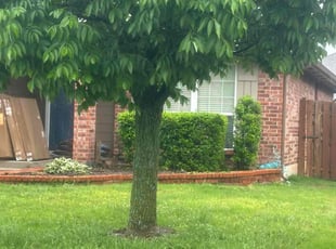 Weeding by Leray Thornton for Rona W. in Edmond, OK