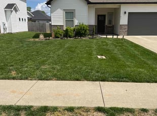 Megan D.'s Lawn Mowing Service service result