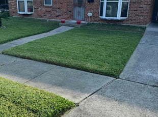 Kim B.'s Lawn Mowing Service service result