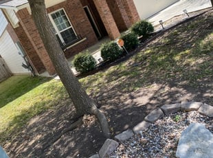 Leaf Removal by Daniel Mora for Alyson K. in Cibolo, TX
