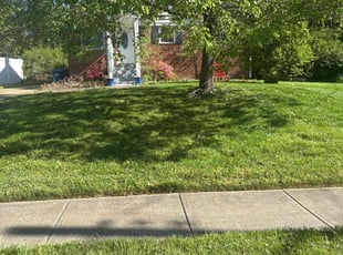 Cleanups by candelario castillo for John G. in Falls Church, VA