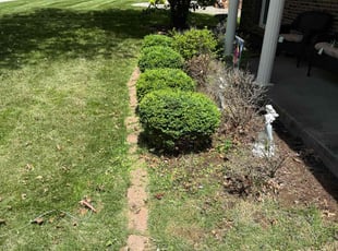 Weeding by Eric Jones for Dondi B. in Louisville, KY