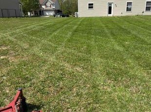 Gabrielle R.'s Yard Cutting service result