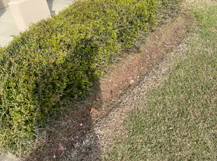 Weeding by Carl George for Kathy C. in 3, LA