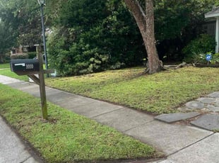 Stephanie C.'s Leaf Removal service result