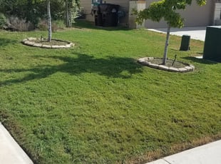 Weeding by JackieAnn Talley for Trent H. in San Antonio, TX