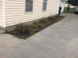 Leaf Removal by Shawn Beardall for Shelley B. in Spanish Fork, UT