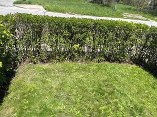 Cleanups by Charles Hinton for Christina B. in Cleveland, OH