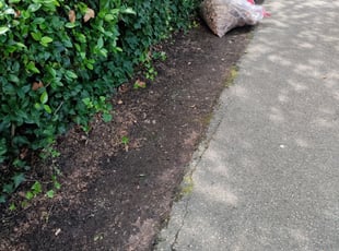 Leaf Removal by Jurgen Bauss for Christian L. in Norfolk, VA