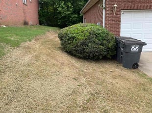 Bush Trimming by Ahyanna Jennings for Anthony F. in Birmingham, AL