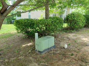 Bush Trimming by James Ziobro for Jeff D. in Cary, NC