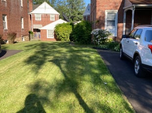 Landscaping by Harry Robinson for Cynthia G. in Baltimore, MD