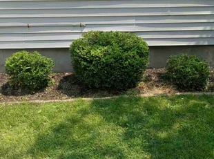 Bush Trimming by LeBrendt Reese for Jonathan L. in Cleveland, OH