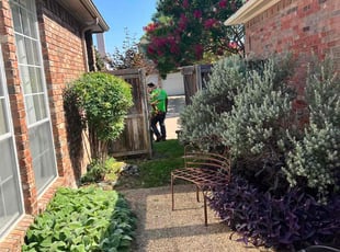 Bush Trimming by Luis Mejia for Lisa B. in Plano, TX