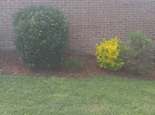 Mulching by Nathan Christiansen for Steve P. in Chattanooga, TN