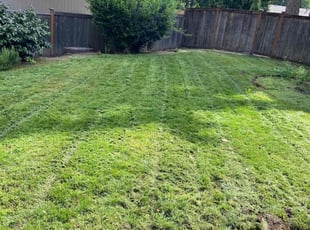 Emily G.'s Lawn Mowing service result
