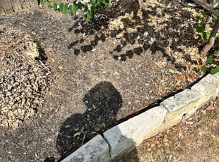 Weeding by Brian Mattison for Karen L. in San Antonio, TX