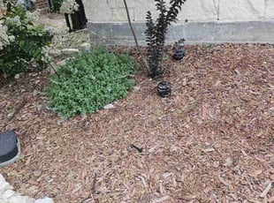Shanda L.'s Landscaping service result