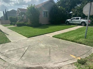 Gerald L.'s Lawn Mowing service result