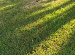 Leaf Removal by Rancel Holbert for Crystal U. in Lorain, OH